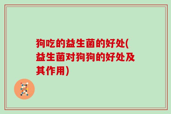 狗吃的益生菌的好处(益生菌对狗狗的好处及其作用)