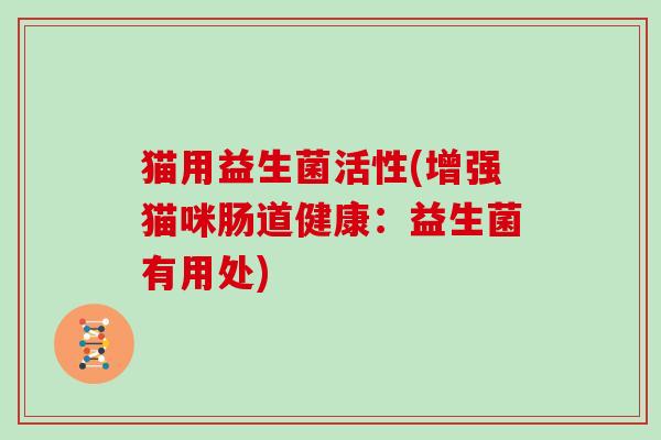 猫用益生菌活性(增强猫咪肠道健康：益生菌有用处)