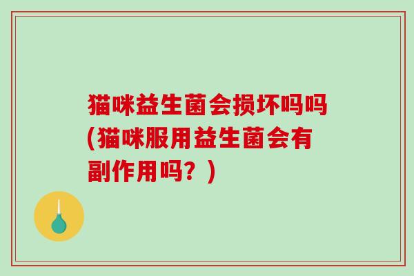 猫咪益生菌会损坏吗吗(猫咪服用益生菌会有副作用吗?) 猫咪益生菌会损坏吗吗(猫咪服用益生菌会有副作用吗?)