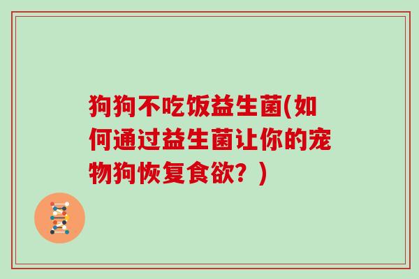 狗狗不吃饭益生菌(如何通过益生菌让你的宠物狗恢复？)