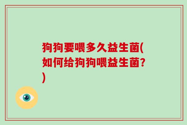 狗狗要喂多久益生菌(如何给狗狗喂益生菌?) 狗狗要喂多久益生菌(如何给狗狗喂益生菌?)