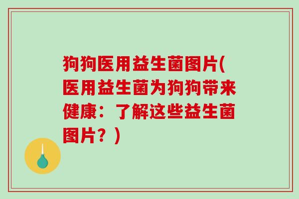 狗狗医用益生菌图片(医用益生菌为狗狗带来健康：了解这些益生菌图片？)
