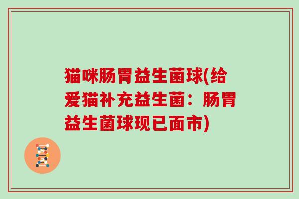 猫咪肠胃益生菌球(给爱猫补充益生菌：肠胃益生菌球现已面市)