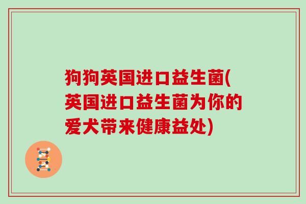狗狗英国进口益生菌(英国进口益生菌为你的爱犬带来健康益处) 狗狗英国进口益生菌(英国进口益生菌为你的爱犬带来健康益处)