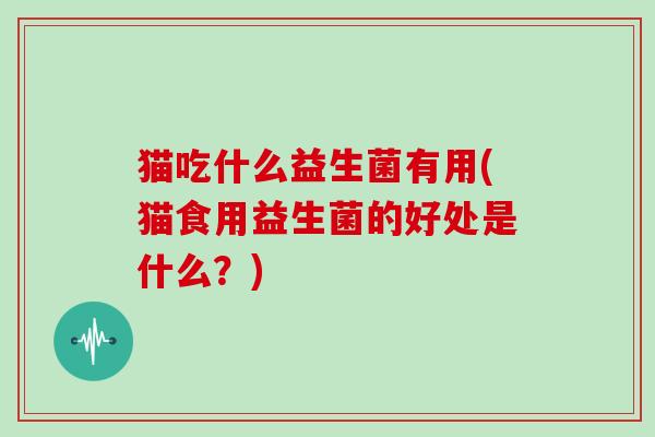 猫吃什么益生菌有用(猫食用益生菌的好处是什么?) 猫吃什么益生菌有用(猫食用益生菌的好处是什么?)