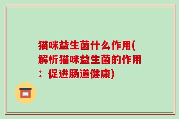 猫咪益生菌什么作用(解析猫咪益生菌的作用：促进肠道健康)