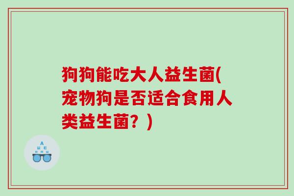 狗狗能吃大人益生菌(宠物狗是否适合食用人类益生菌？)
