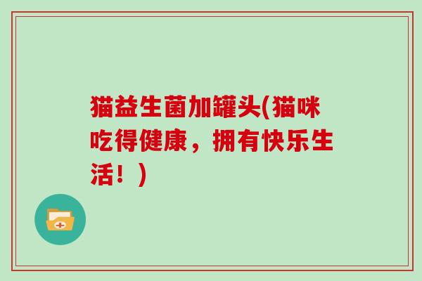 猫益生菌加罐头(猫咪吃得健康，拥有快乐生活！)