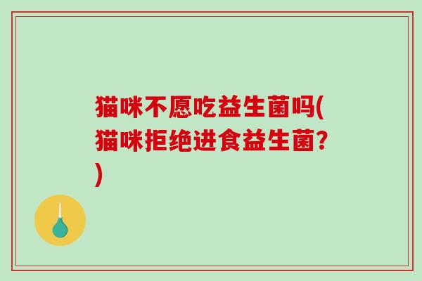 猫咪不愿吃益生菌吗(猫咪拒绝进食益生菌?) 猫咪不愿吃益生菌吗(猫咪拒绝进食益生菌?)