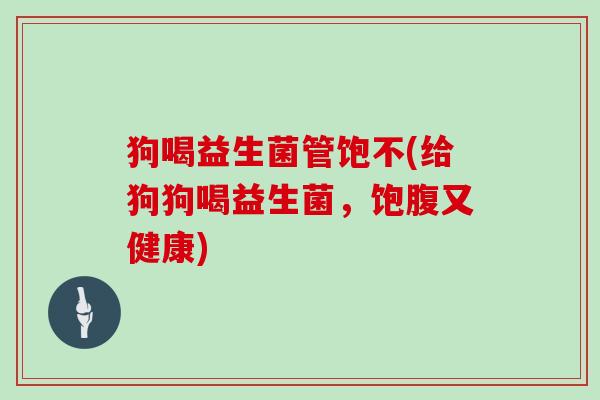 狗喝益生菌管饱不(给狗狗喝益生菌,饱腹又健康) 狗喝益生菌管饱不(给狗狗喝益生菌,饱腹又健康)