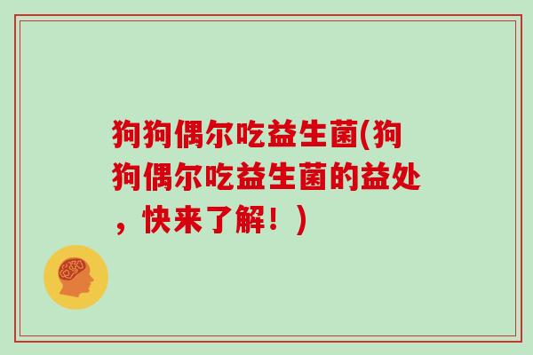 狗狗偶尔吃益生菌(狗狗偶尔吃益生菌的益处,快来了解!) 狗狗偶尔吃益生菌(狗狗偶尔吃益生菌的益处,快来了解!)