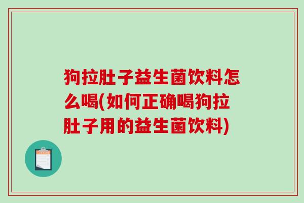 狗拉肚子益生菌饮料怎么喝(如何正确喝狗拉肚子用的益生菌饮料)