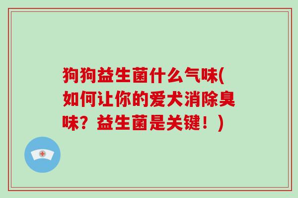 狗狗益生菌什么气味(如何让你的爱犬消除臭味？益生菌是关键！)