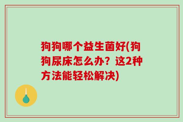 狗狗哪个益生菌好(狗狗尿床怎么办?这2种方法能轻松解决) 狗狗哪个益生菌好(狗狗尿床怎么办?这2种方法能轻松解决)