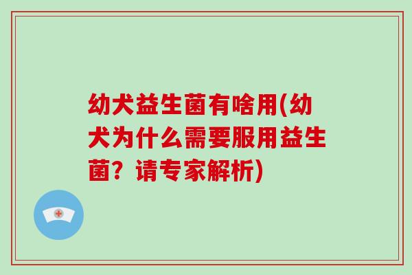 幼犬益生菌有啥用(幼犬为什么需要服用益生菌?请专家解析) 幼犬益生菌有啥用(幼犬为什么需要服用益生菌?请专家解析)