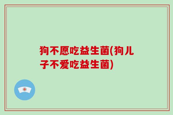 狗不愿吃益生菌(狗儿子不爱吃益生菌)
