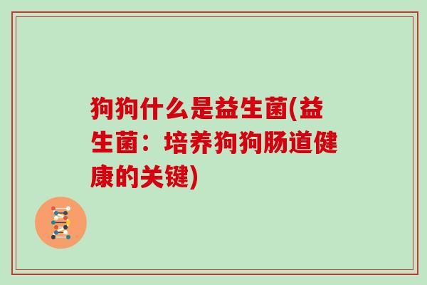 狗狗什么是益生菌(益生菌：培养狗狗肠道健康的关键)