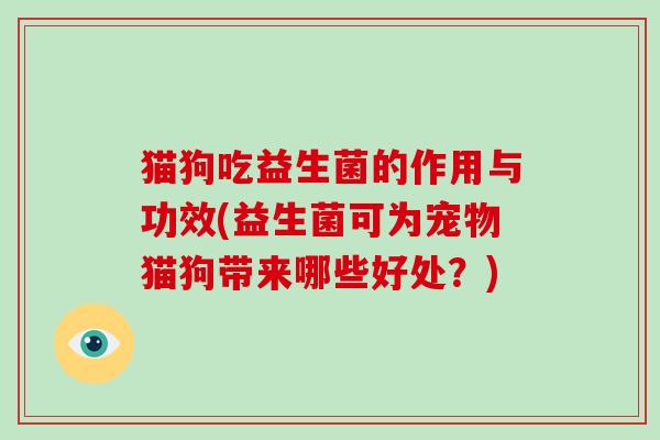 猫狗吃益生菌的作用与功效(益生菌可为宠物猫狗带来哪些好处？)