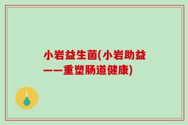 小岩益生菌(小岩助益——重塑肠道健康)