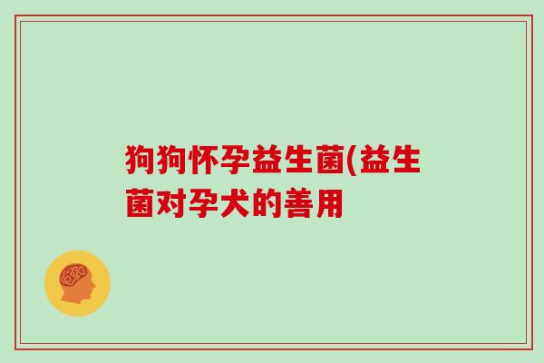 狗狗怀孕益生菌(益生菌对孕犬的善用 狗狗怀孕益生菌(益生菌对孕犬的善用