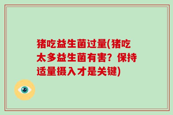 猪吃益生菌过量(猪吃太多益生菌有害？保持适量摄入才是关键)