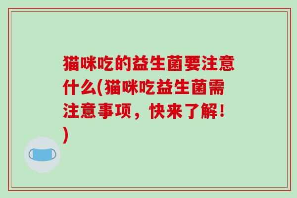 猫咪吃的益生菌要注意什么(猫咪吃益生菌需注意事项，快来了解！)