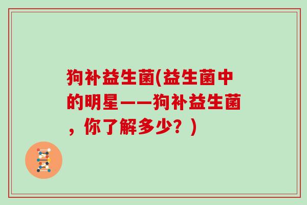 狗补益生菌(益生菌中的明星——狗补益生菌，你了解多少？)
