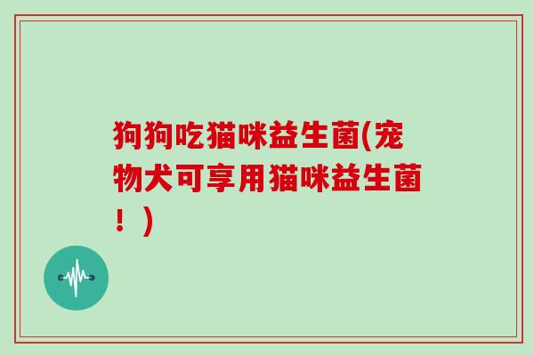 狗狗吃猫咪益生菌(宠物犬可享用猫咪益生菌!) 狗狗吃猫咪益生菌(宠物犬可享用猫咪益生菌!)