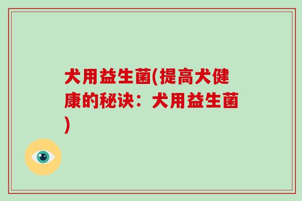 犬用益生菌(提高犬健康的秘诀：犬用益生菌)