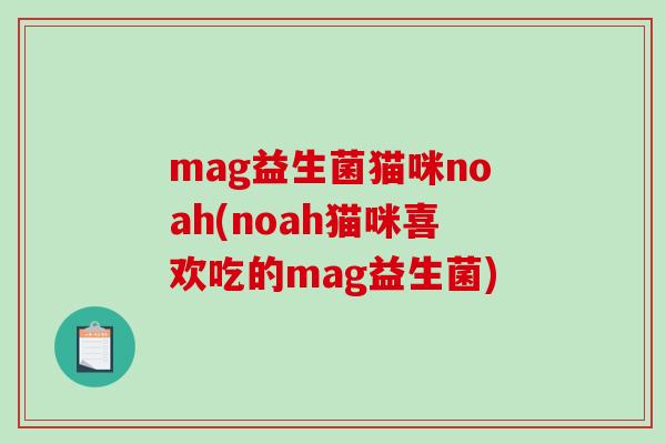 mag益生菌猫咪noah(noah猫咪喜欢吃的mag益生菌)