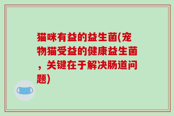 猫咪有益的益生菌(宠物猫受益的健康益生菌，关键在于解决肠道问题)