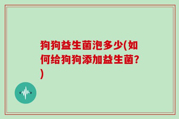 狗狗益生菌泡多少(如何给狗狗添加益生菌？)
