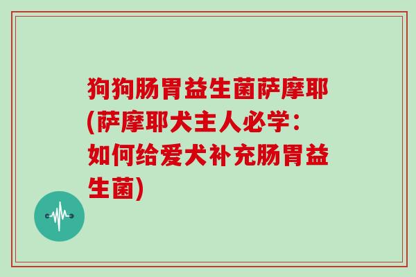 狗狗肠胃益生菌萨摩耶(萨摩耶犬主人必学：如何给爱犬补充肠胃益生菌)