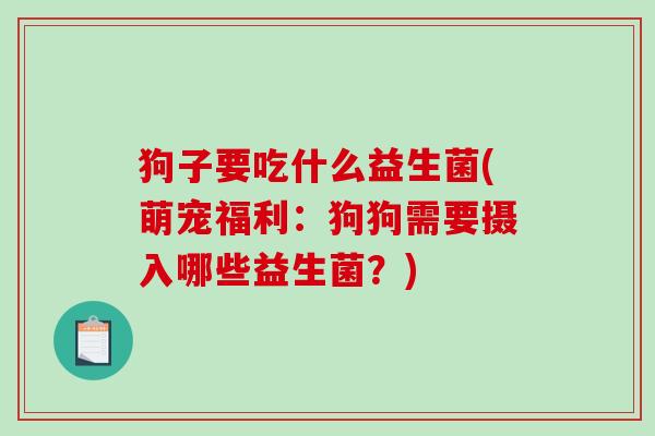 狗子要吃什么益生菌(萌宠福利：狗狗需要摄入哪些益生菌？)