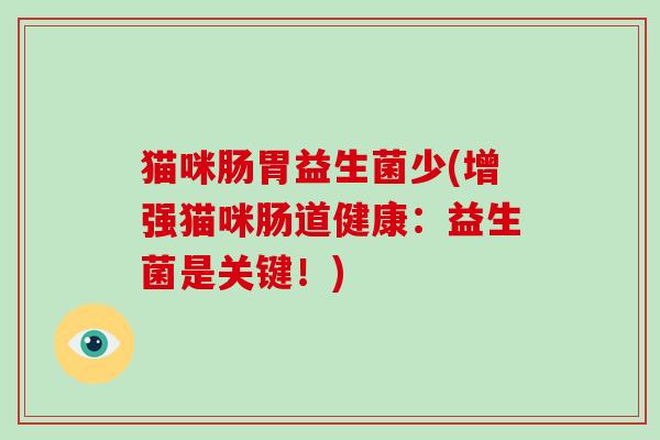 猫咪肠胃益生菌少(增强猫咪肠道健康：益生菌是关键！)
