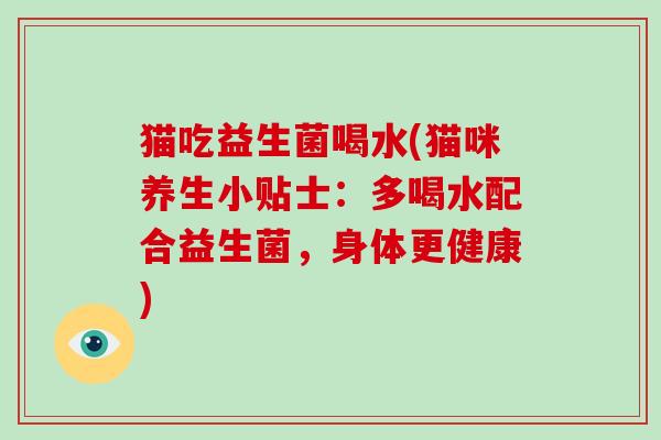 猫吃益生菌喝水(猫咪养生小贴士：多喝水配合益生菌，身体更健康)