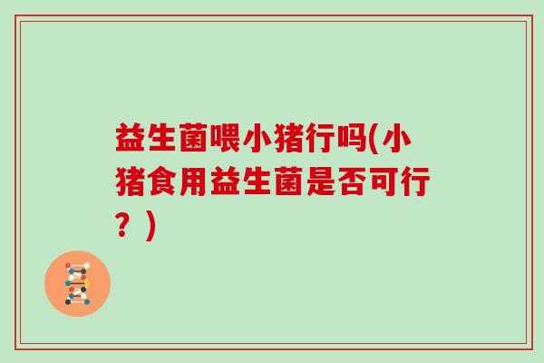 益生菌喂小猪行吗(小猪食用益生菌是否可行？)