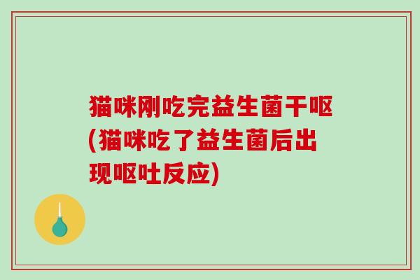 猫咪刚吃完益生菌干呕(猫咪吃了益生菌后出现呕吐反应)