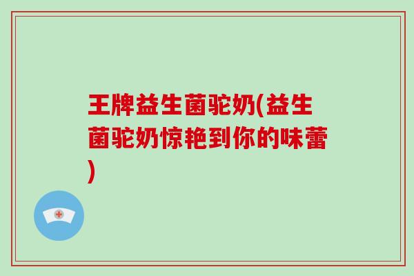 王牌益生菌驼奶(益生菌驼奶惊艳到你的味蕾) 王牌益生菌驼奶(益生菌驼奶惊艳到你的味蕾)