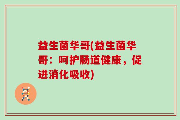 益生菌华哥(益生菌华哥：呵护肠道健康，促进消化吸收)