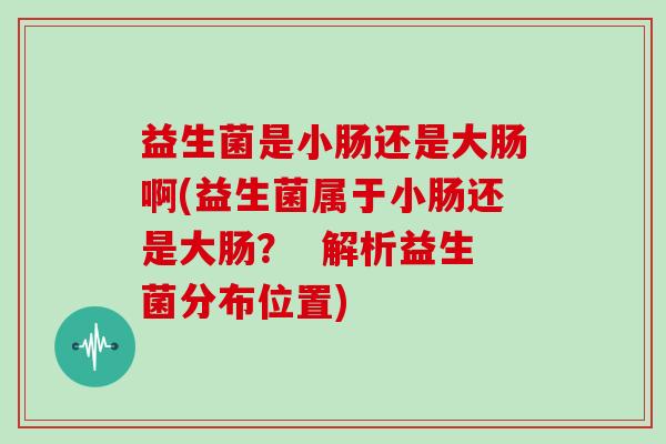 益生菌是小肠还是大肠啊(益生菌属于小肠还是大肠？  解析益生菌分布位置)