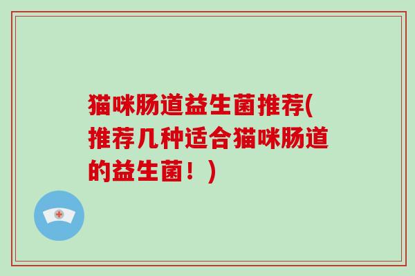 猫咪肠道益生菌推荐(推荐几种适合猫咪肠道的益生菌！)