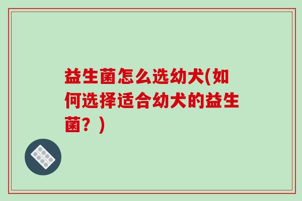 益生菌怎么选幼犬(如何选择适合幼犬的益生菌？)