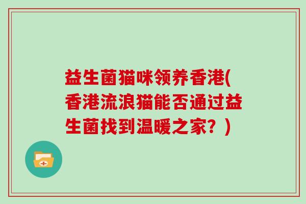 益生菌猫咪领养香港(香港流浪猫能否通过益生菌找到温暖之家？)