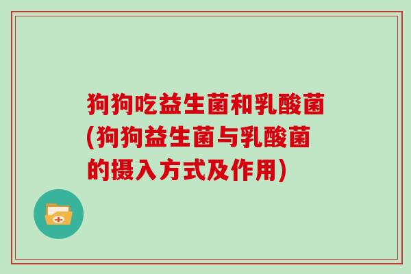狗狗吃益生菌和乳酸菌(狗狗益生菌与乳酸菌的摄入方式及作用)