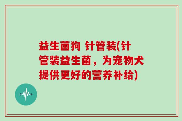 益生菌狗 针管装(针管装益生菌,为宠物犬提供更好的营养补给) 益生菌狗 针管装(针管装益生菌,为宠物犬提供更好的营养补给)