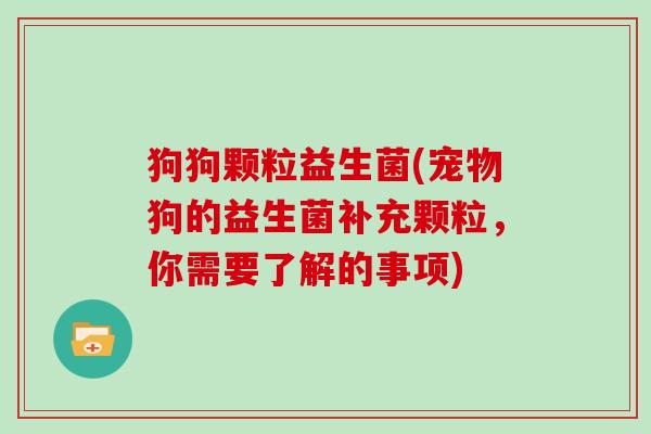 狗狗颗粒益生菌(宠物狗的益生菌补充颗粒，你需要了解的事项)