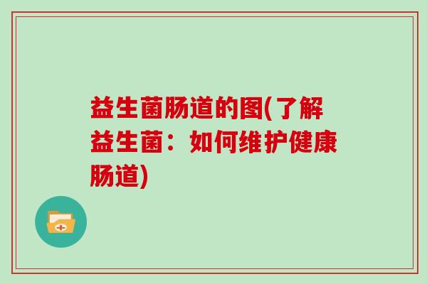 益生菌肠道的图(了解益生菌：如何维护健康肠道)