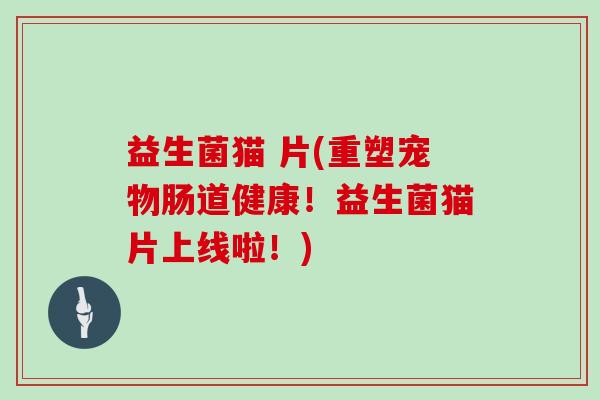 益生菌猫 片(重塑宠物肠道健康！益生菌猫片上线啦！)