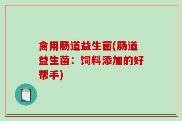 禽用肠道益生菌(肠道益生菌：饲料添加的好帮手)